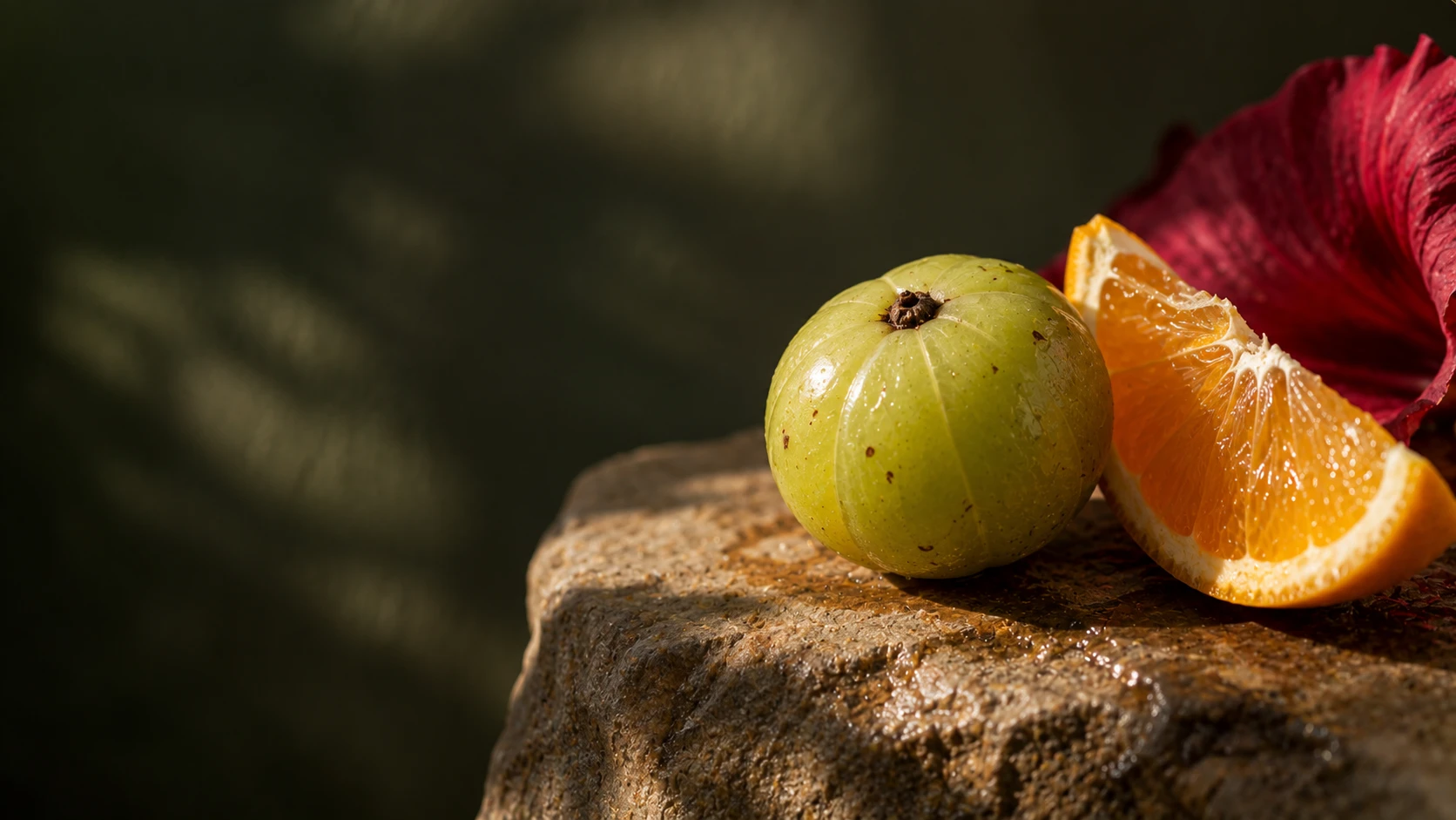 Indian gooseberry, orange and hibiscus on textured stone