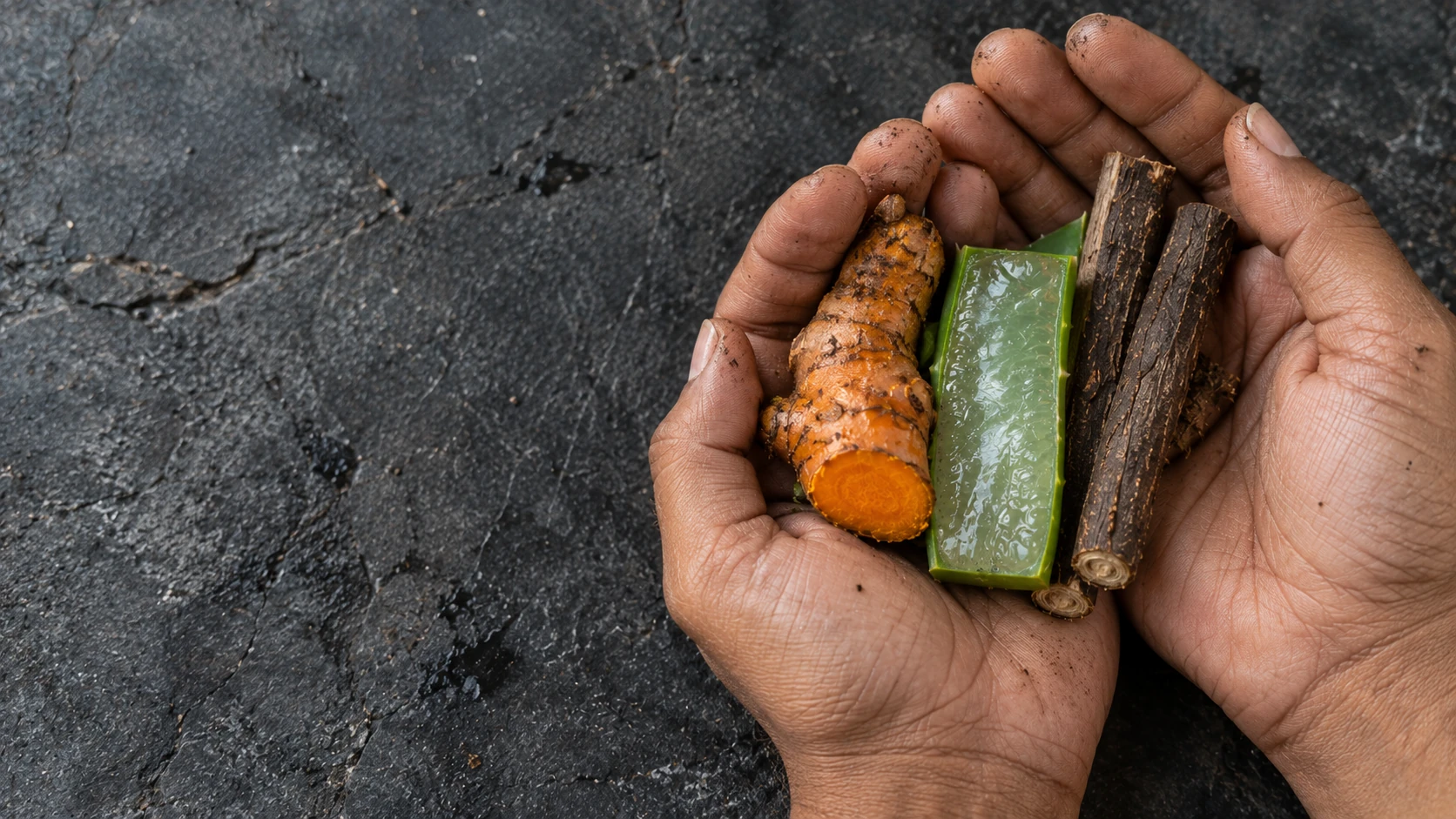 Cupped hands holding fresh turmeric root, a cut aloe leaf with its translucent pulp, and licorice root